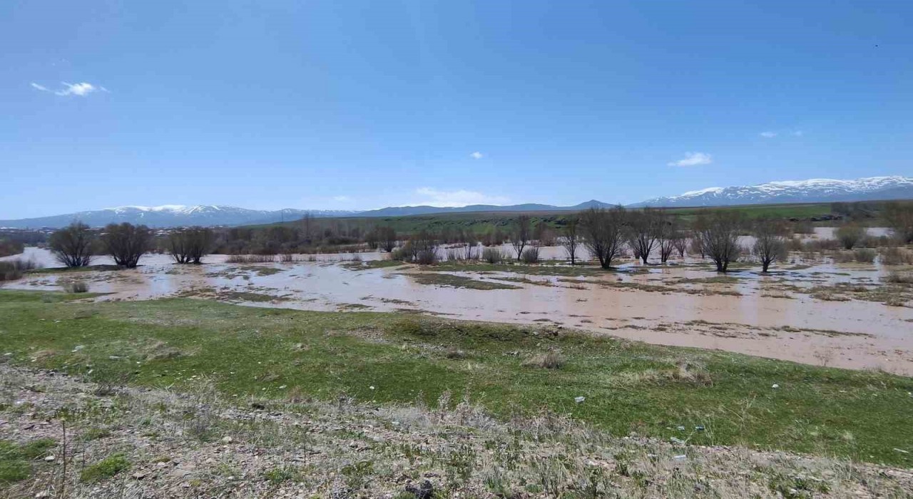 Ağrıda Murat Nehri taştı araziler sular altında kaldı
