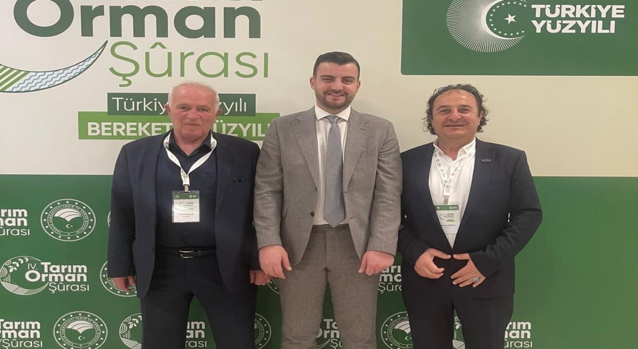 Ahşap palet sektöründen 18. madde çağrısı: Palet havuzu modeli için hazırız