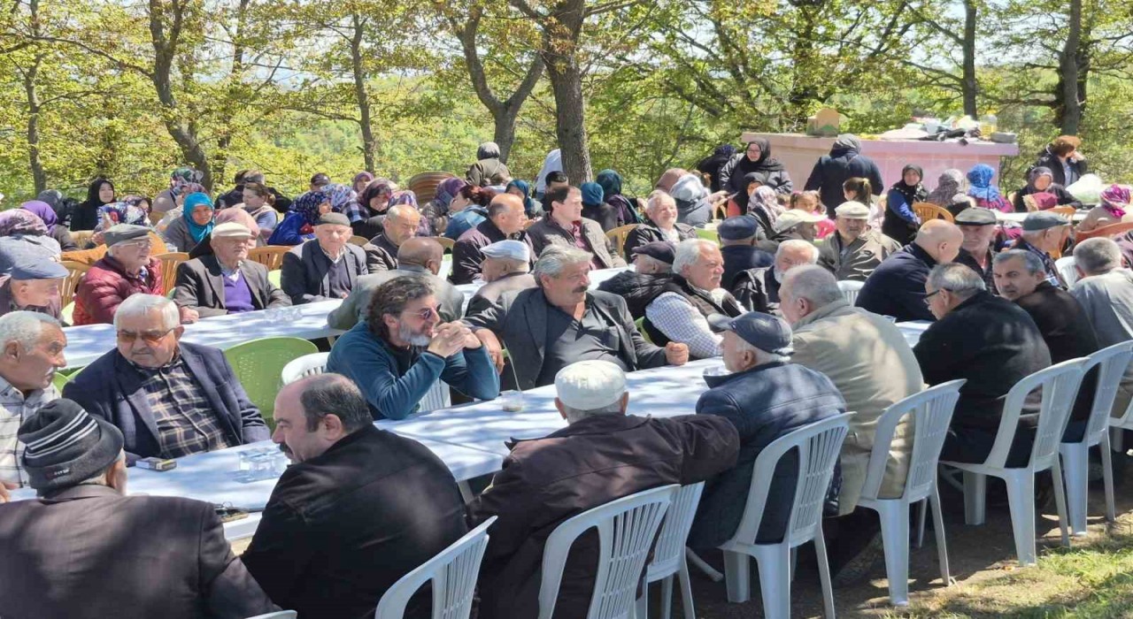 Alaçamda geleneksel bolluk aşı etkinliği