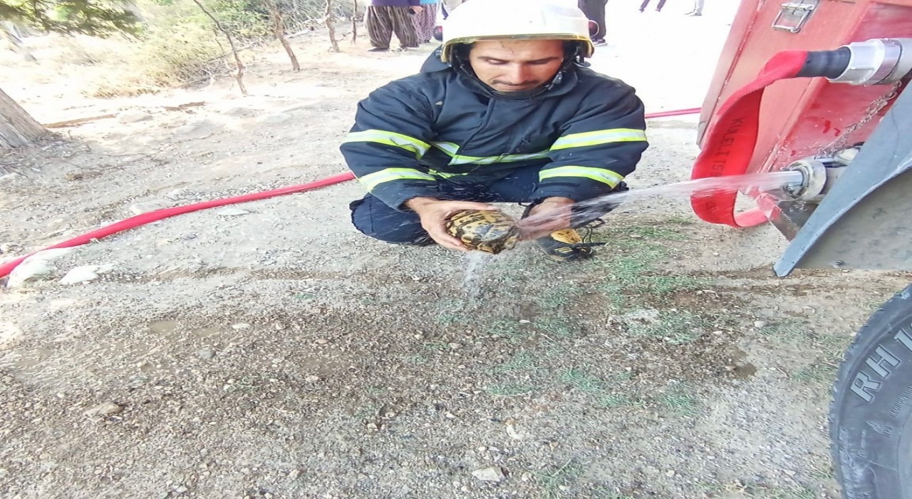 Alevlerin arasında kalan kaplumbağaya can suyu