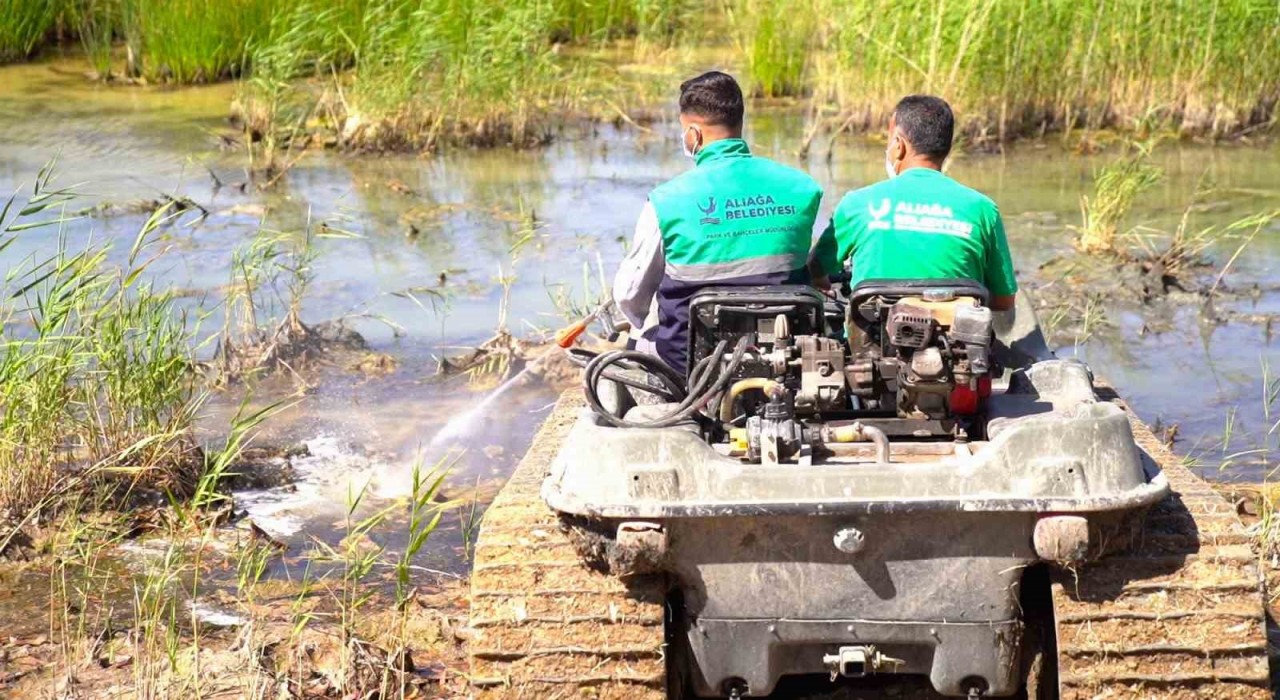 Aliağa Belediyesinden haşerelere karşı yoğun mücadele