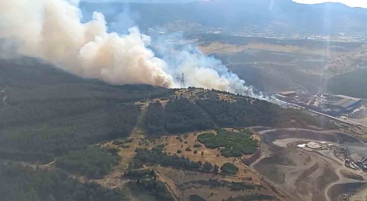 Aliağada orman yangını