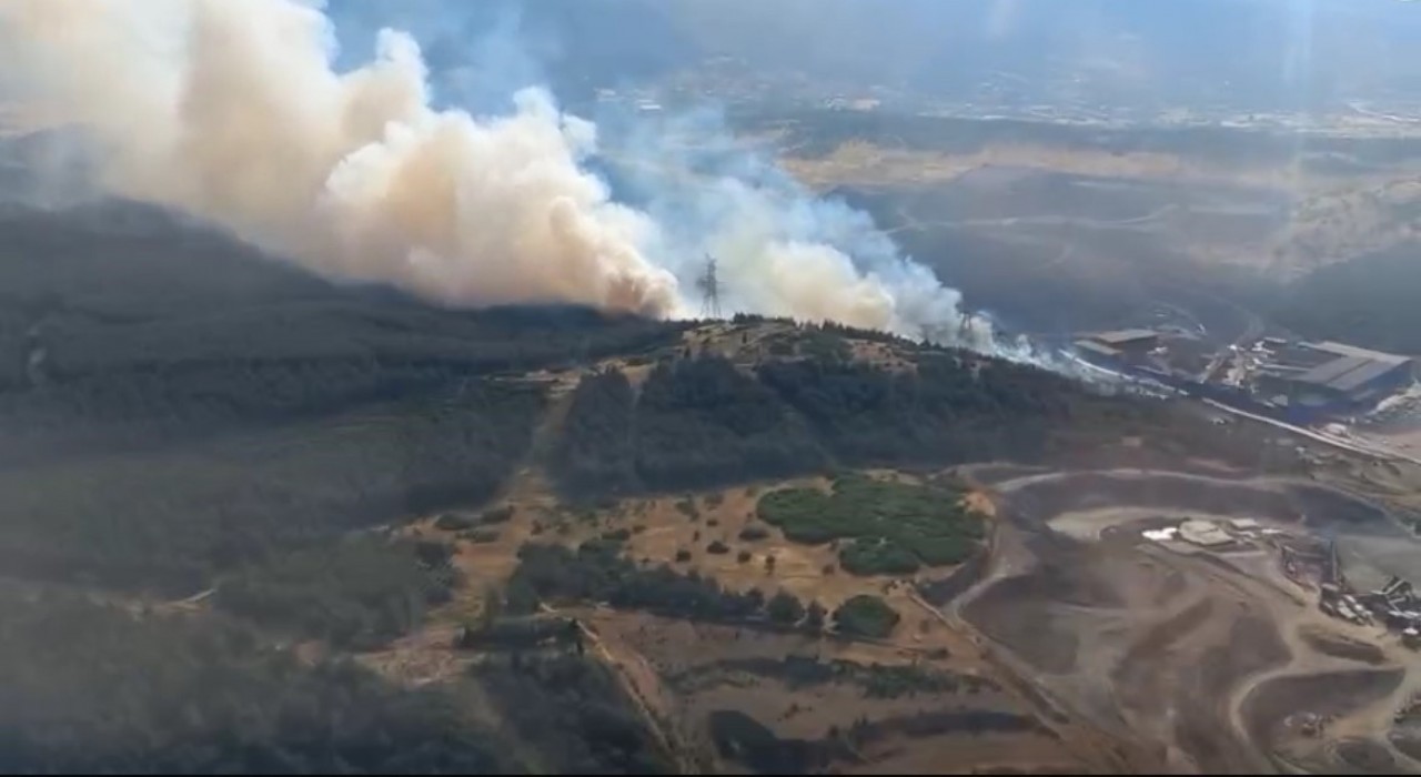 Aliağada ormanlık alandaki yangın kontrol altında