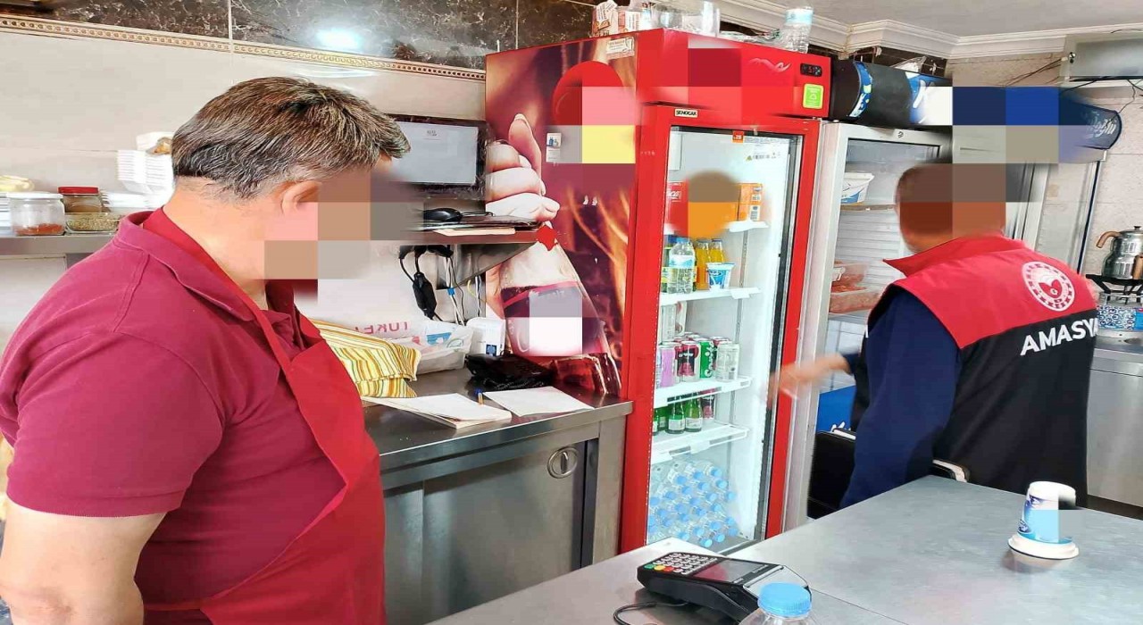 Amasyada 26 tavuk dönerciye 9,5 milyon TLden fazla ceza yağdı