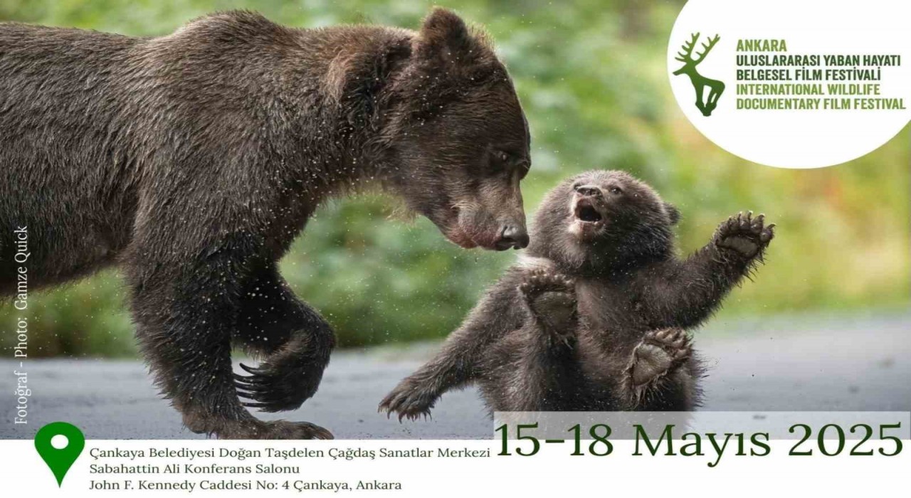 Ankara Uluslararası Yaban Hayatı Belgesel Film Festivali Ankarada gerçekleşecek