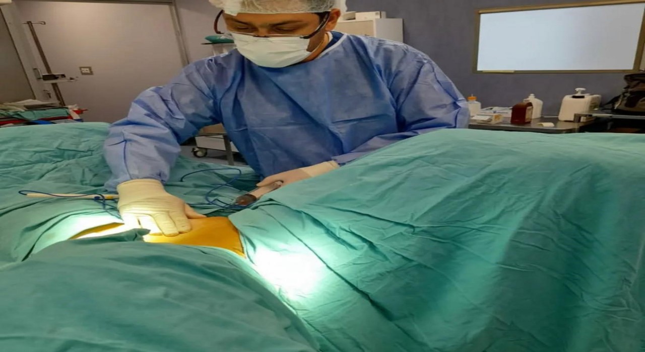 Anne karnındaki sıvı karaciğeri koruyor