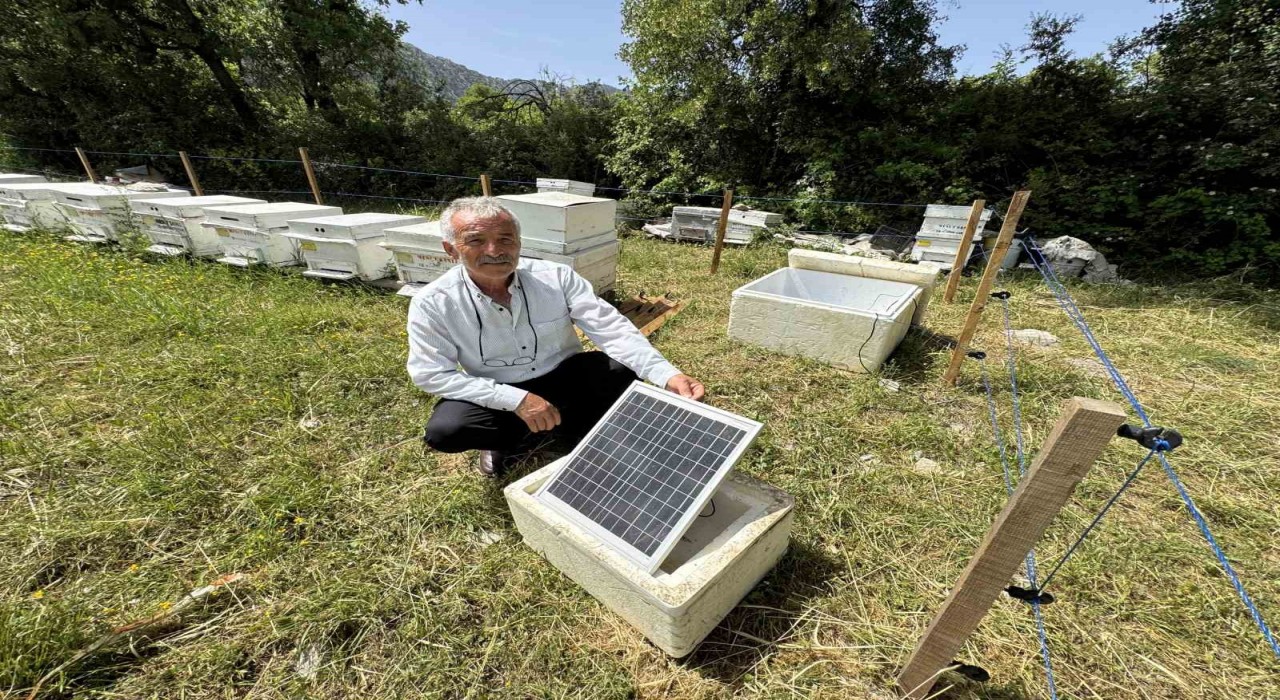 Antalyada arı kovanlarına dadanan ayılara elektrik telli önlem