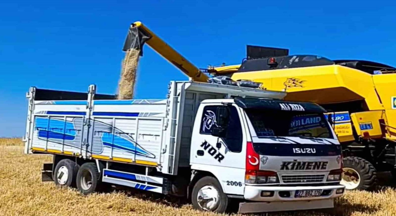 Arabanda, 2025 yılının ilk buğday hasadı yapıldı