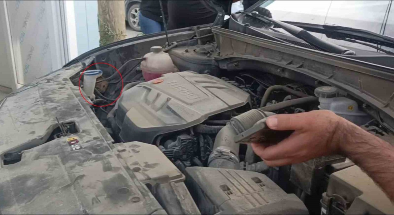 Aracın motoruna giren yavru kedi telefondan miyavlama sesi açılarak çıkartıldı