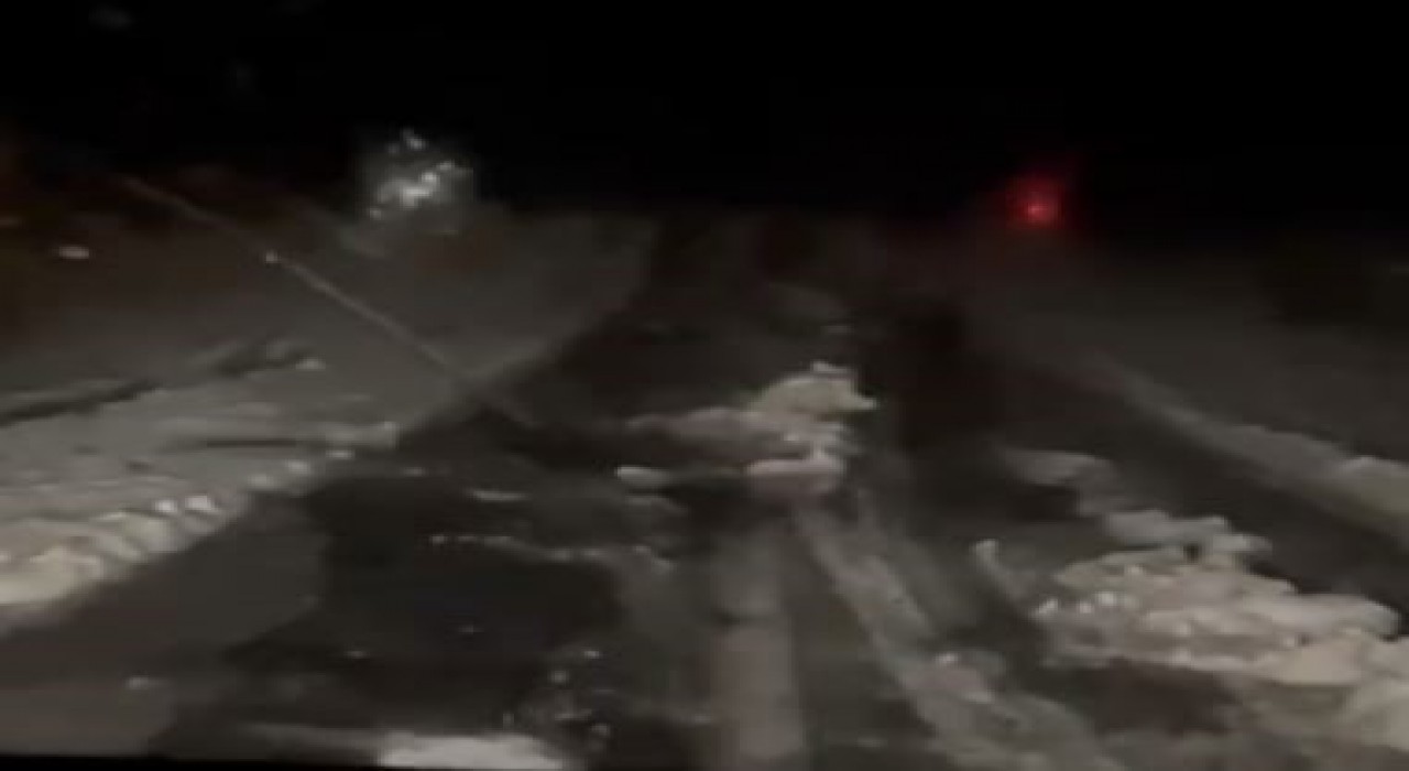 Ardahanda dolu etkili oldu