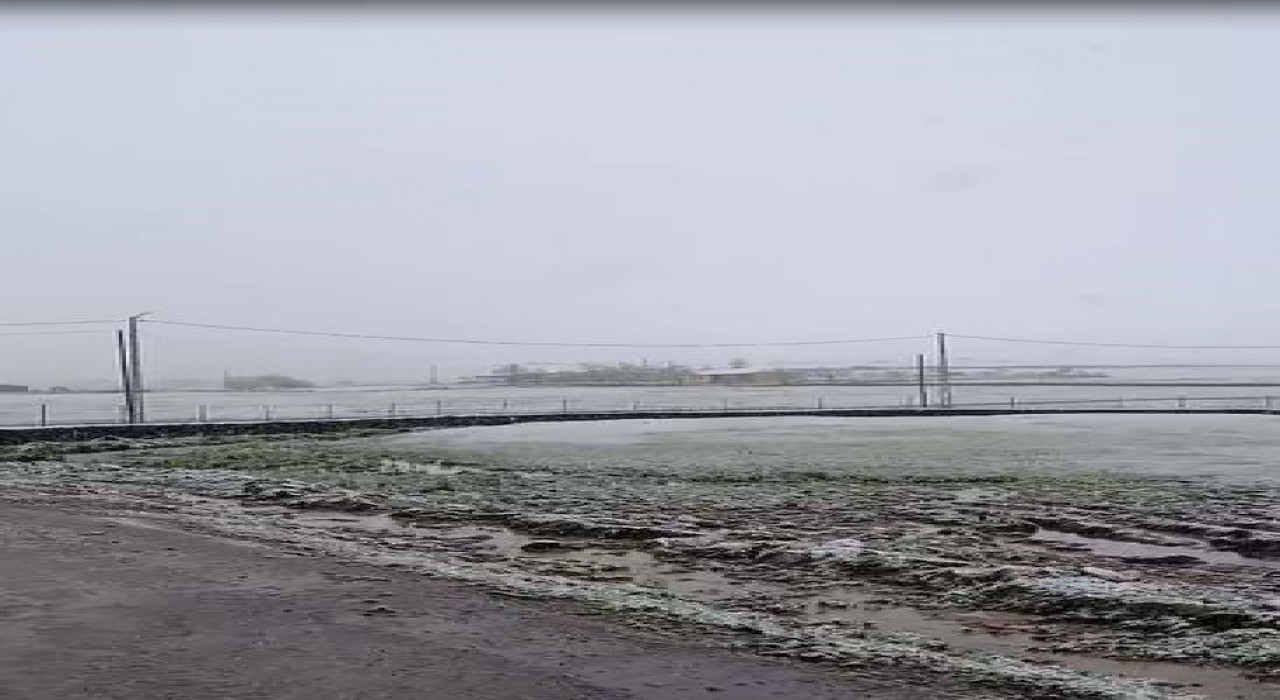 Ardahanda mayıs ayında kar sürprizi