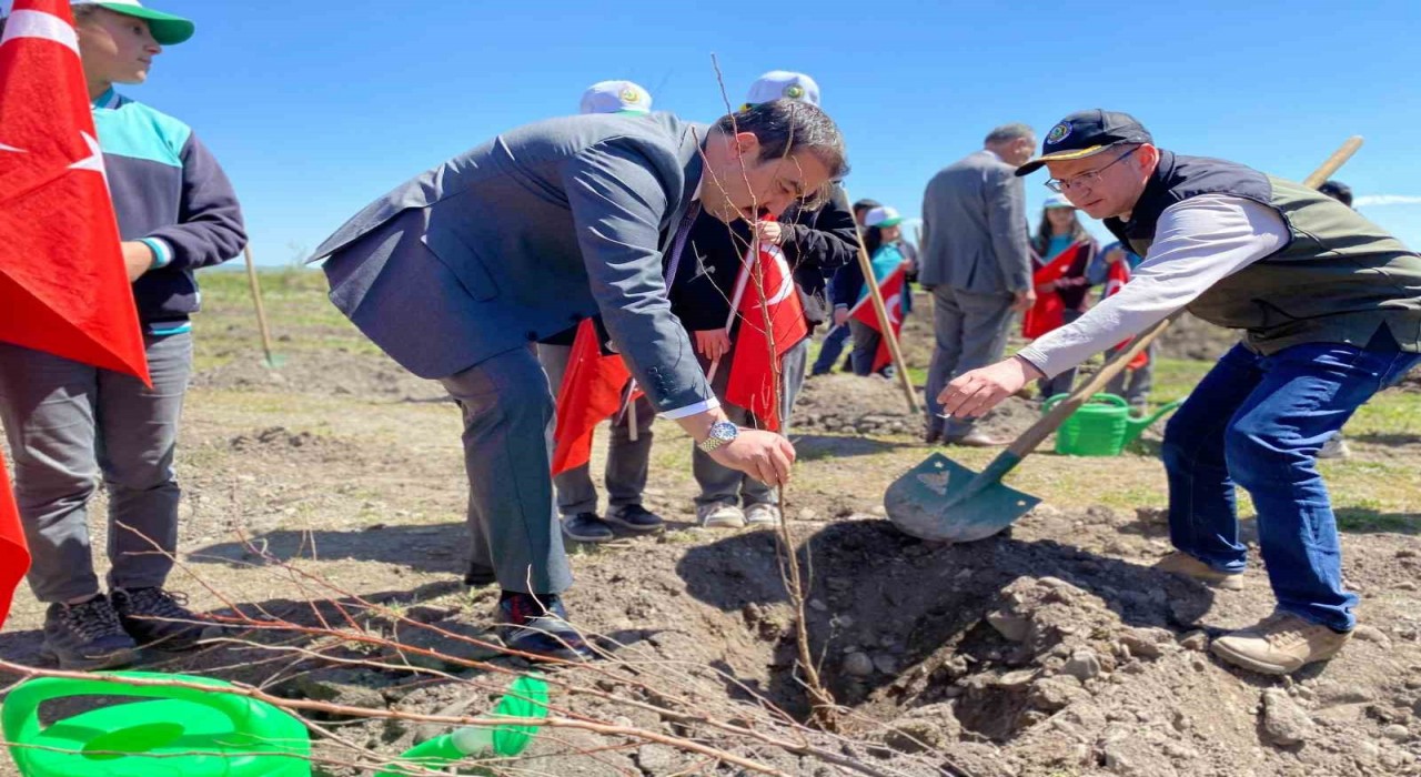 Arpaçayda meyve fidanları toprakla buluştu