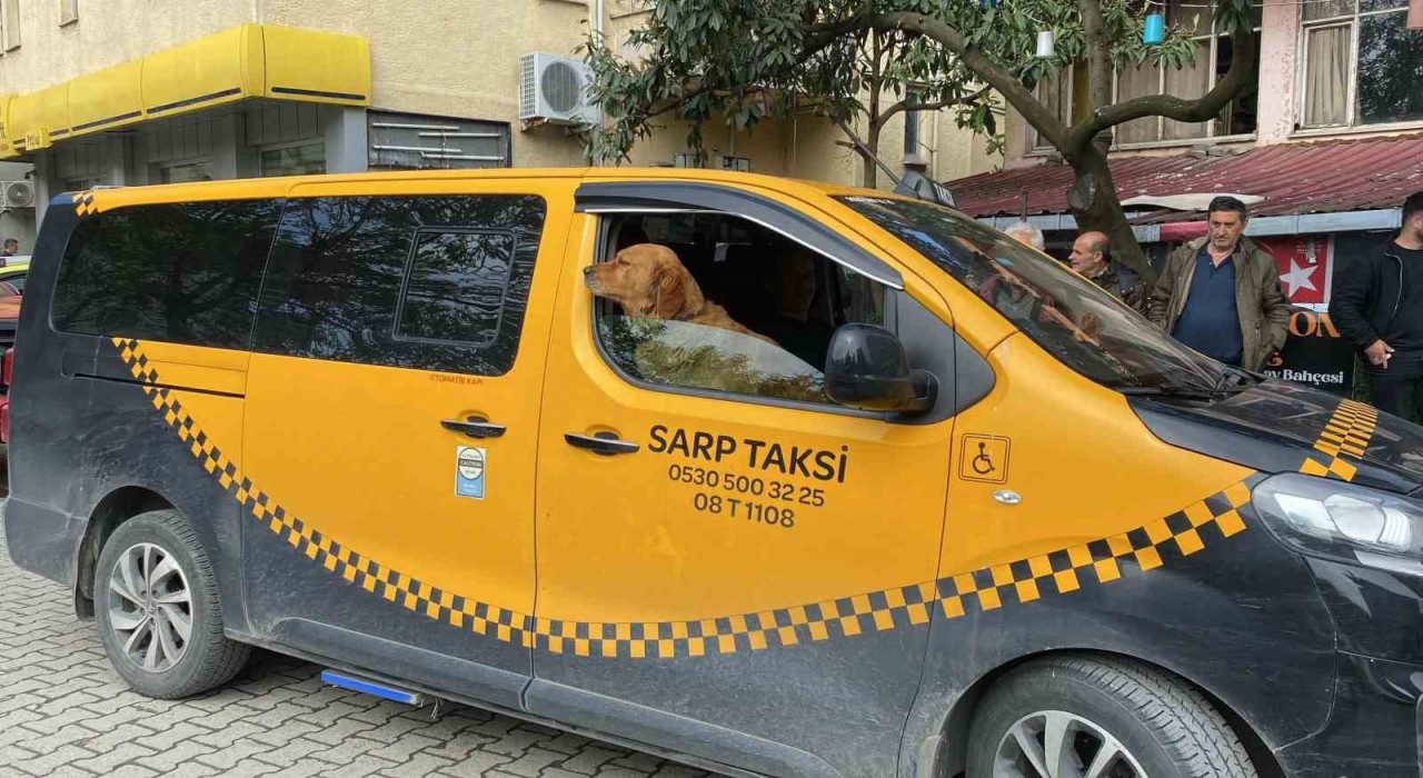 Artvinde sıra dışı taksi deneyimi