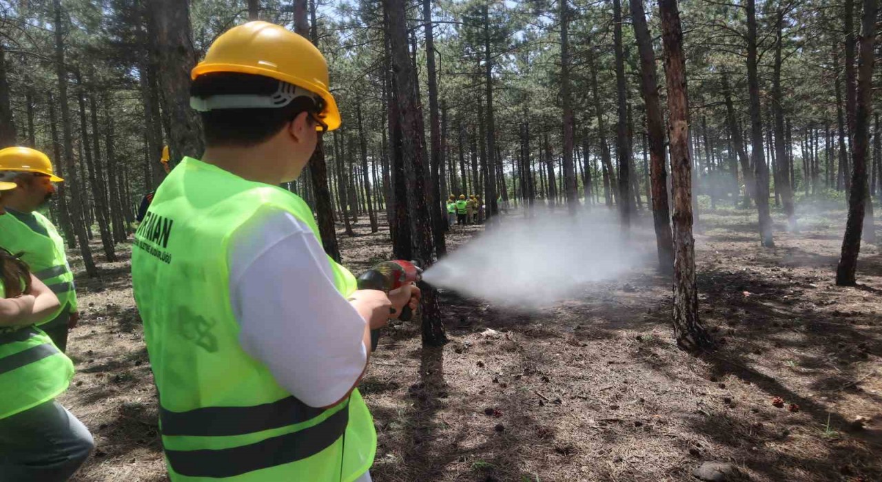 Avrupa Birliği destekli İnsan Kaynaklı Orman Yangınları tatbikatı gerçekleştirildi