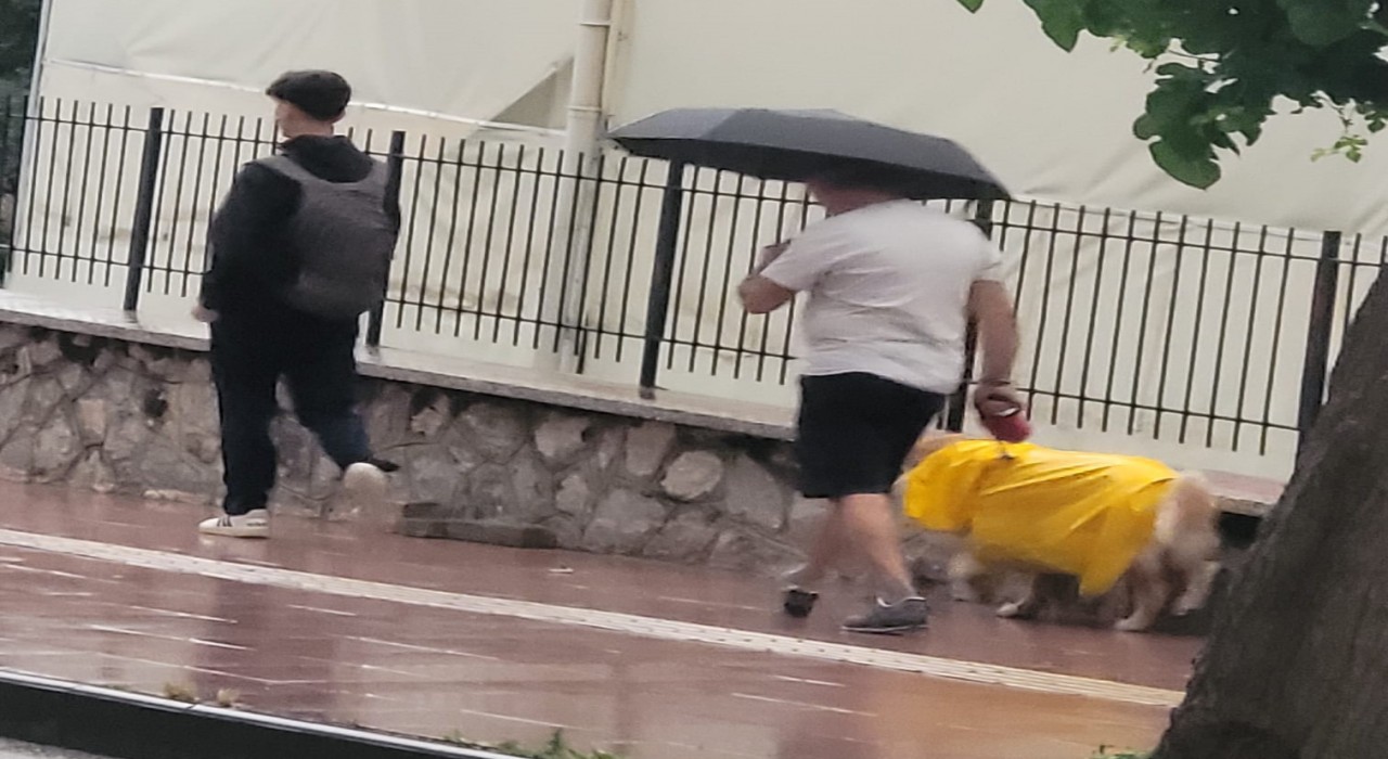 Aydın güne yağmurla uyandı