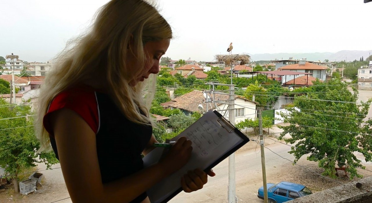 Aydında leylek sayımları tamamlandı