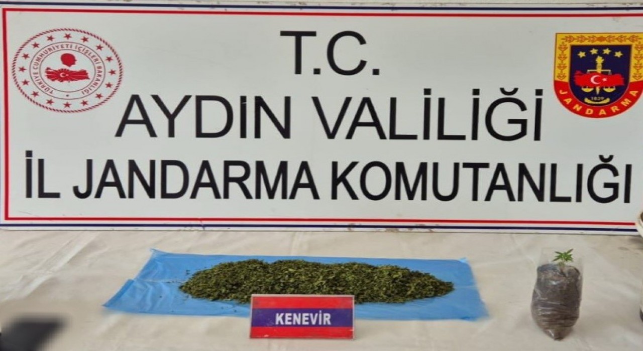 Aydında uyuşturucu operasyonu: 36 şüpheli yakalandı