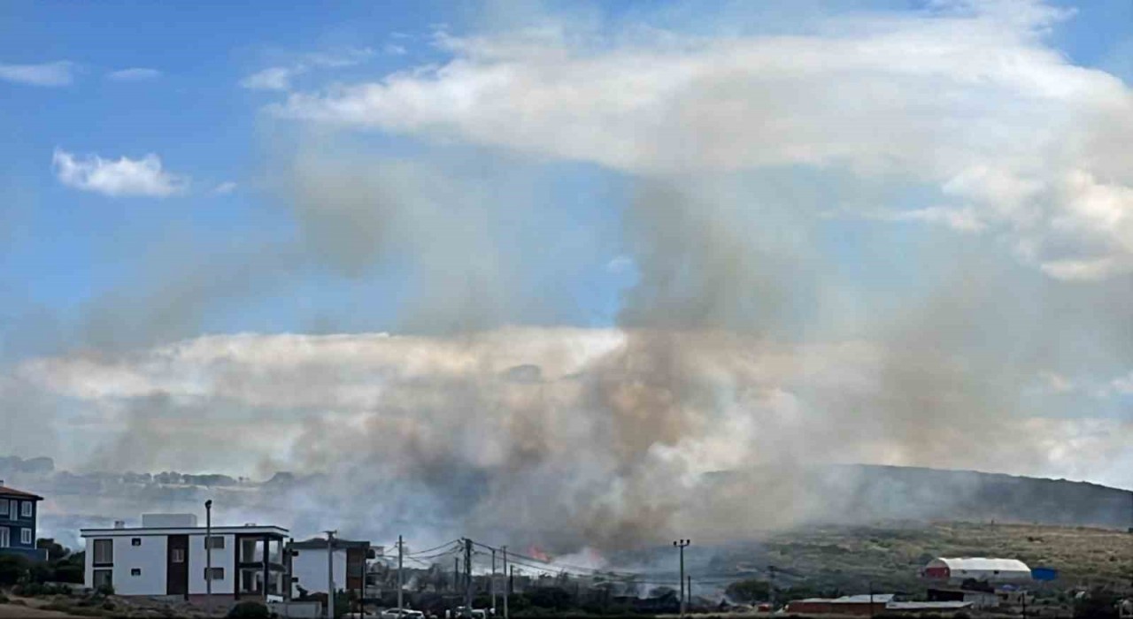 Ayvacıkta otluk alanda başlayan yangın yerleşim yerlerine sıçramadan kontrol altına alındı