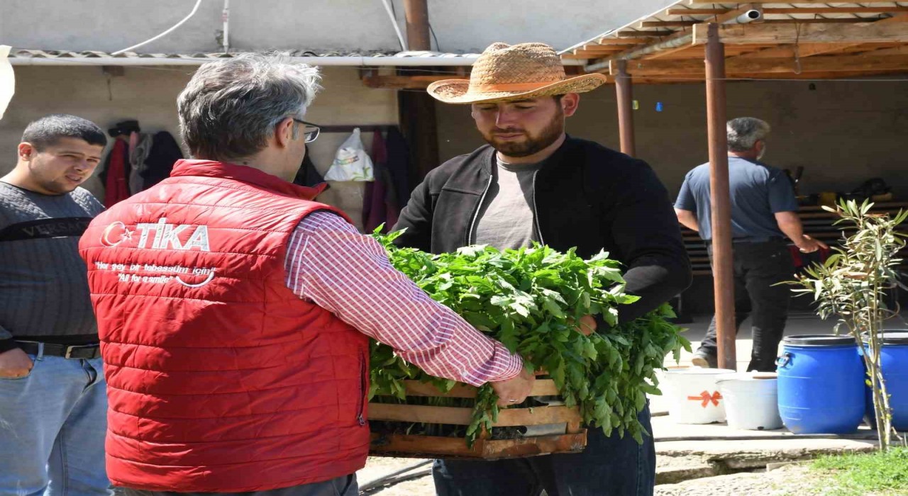Azerbaycanda sel mağduru çiftçilerin yüzü TİKA ile güldü