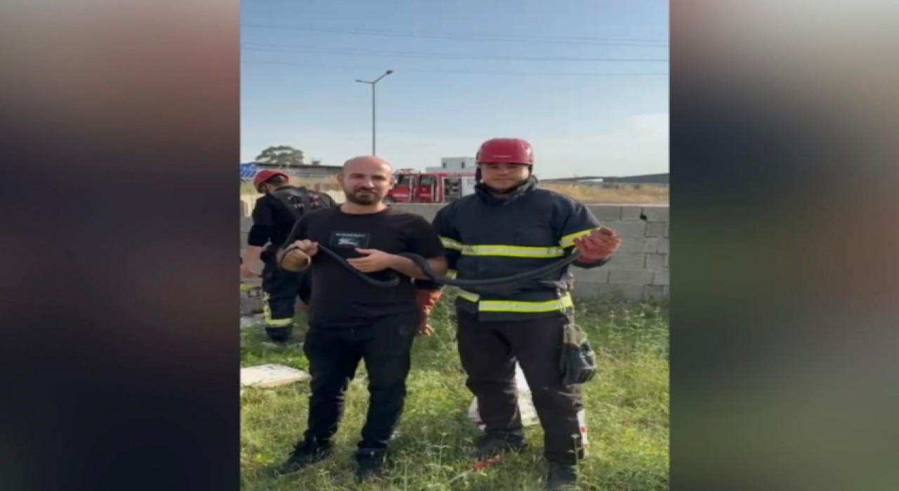 Osmaniye’de Yakaladıkları Yılana Su İçirdiler