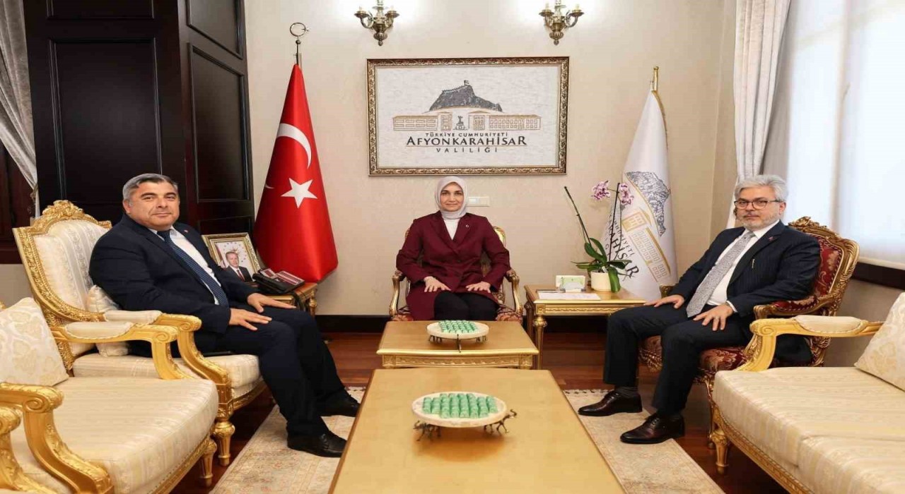 Bakan Yardımcısı Yelkenciden Vali Yiğitbaşına ziyaret
