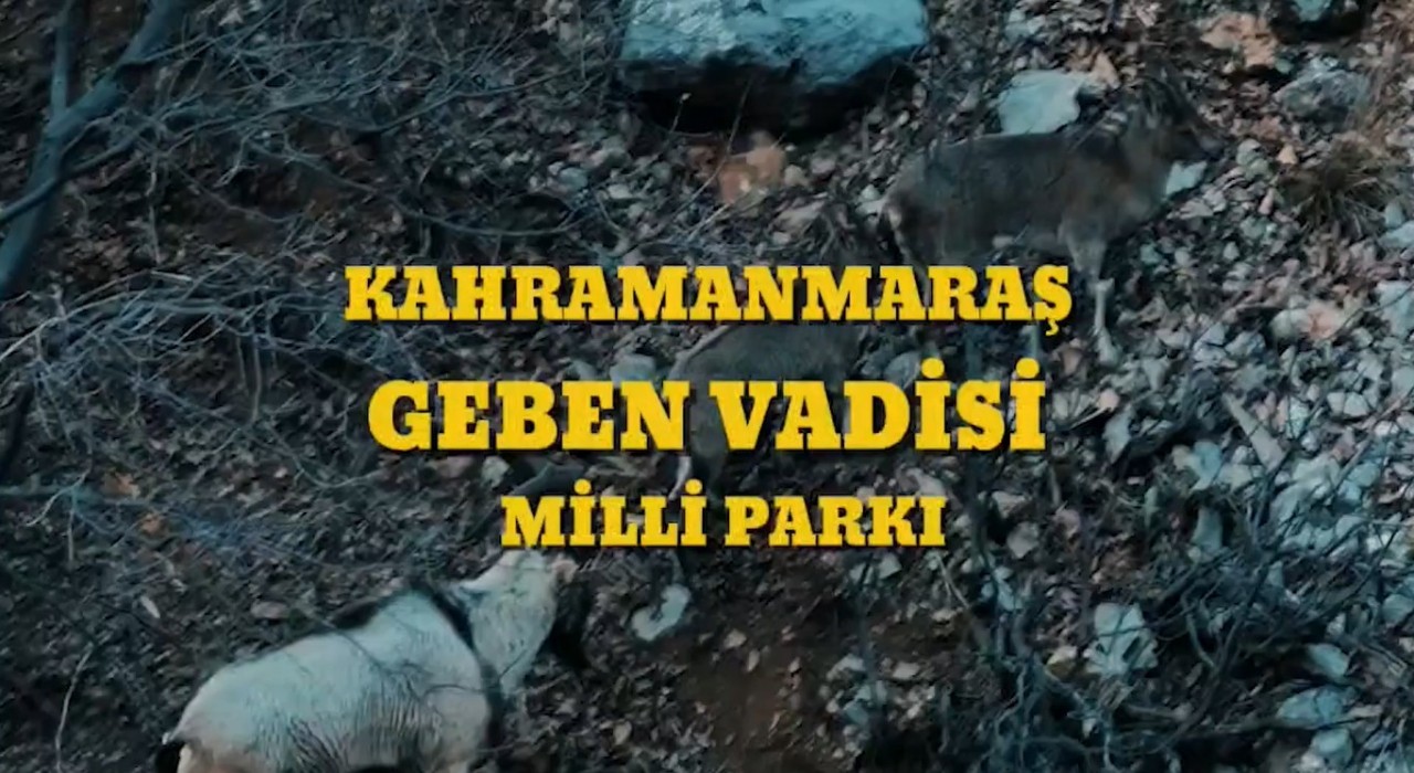 Bakan Yumaklı: Kahramanmaraş Geben Vadisi, milli park statüsüne kavuştu