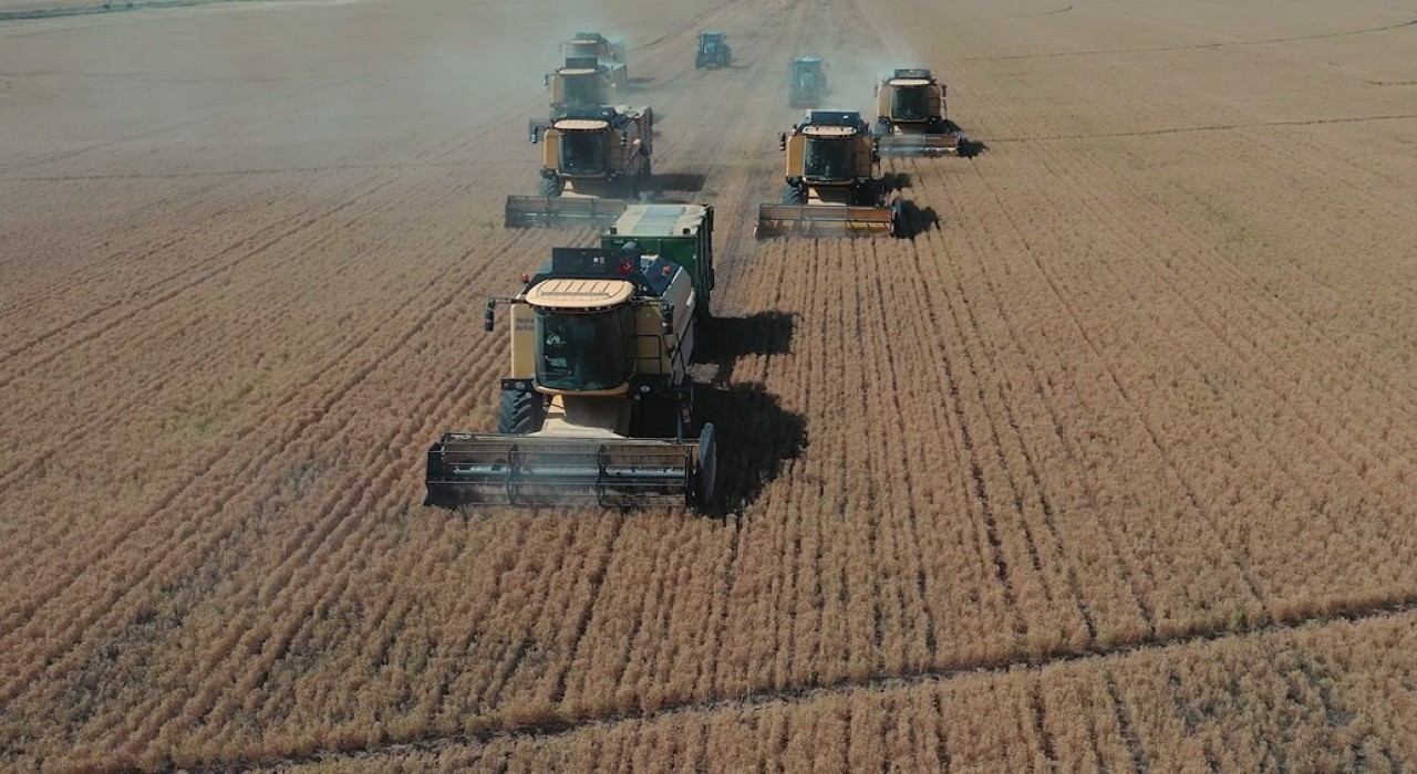 Bakan Yumaklı: TİGEM Şanlıurfa Ceylanpınar Tarım İşletmesinde yılın ilk hasadına başlandı