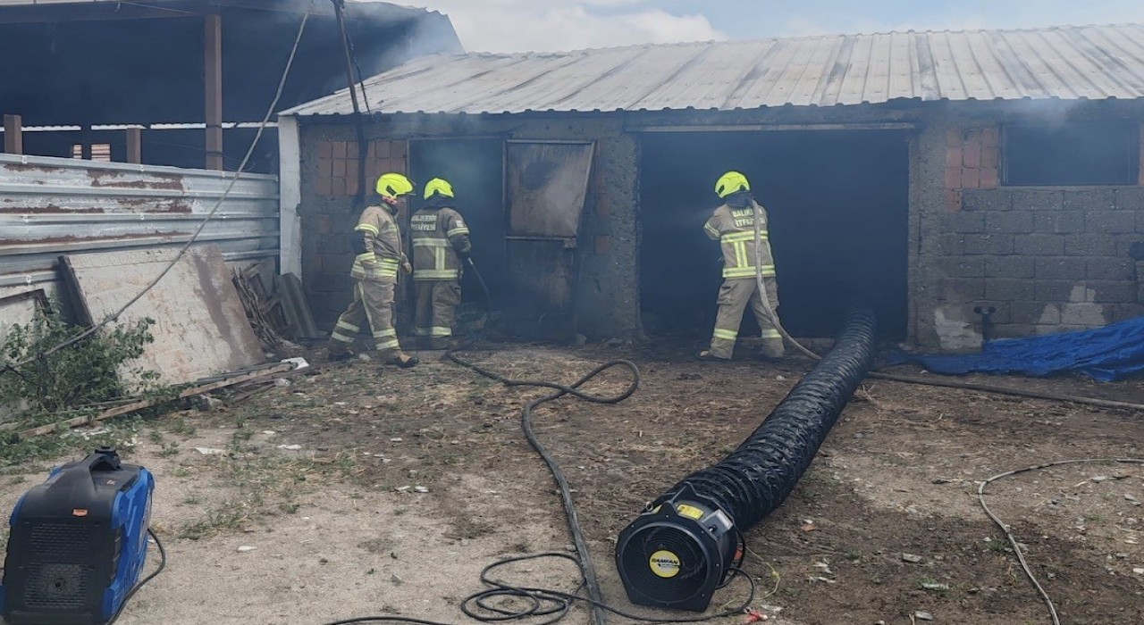 Balıkesirde ahırda çıkan yangında 42 küçükbaş hayvan telef oldu