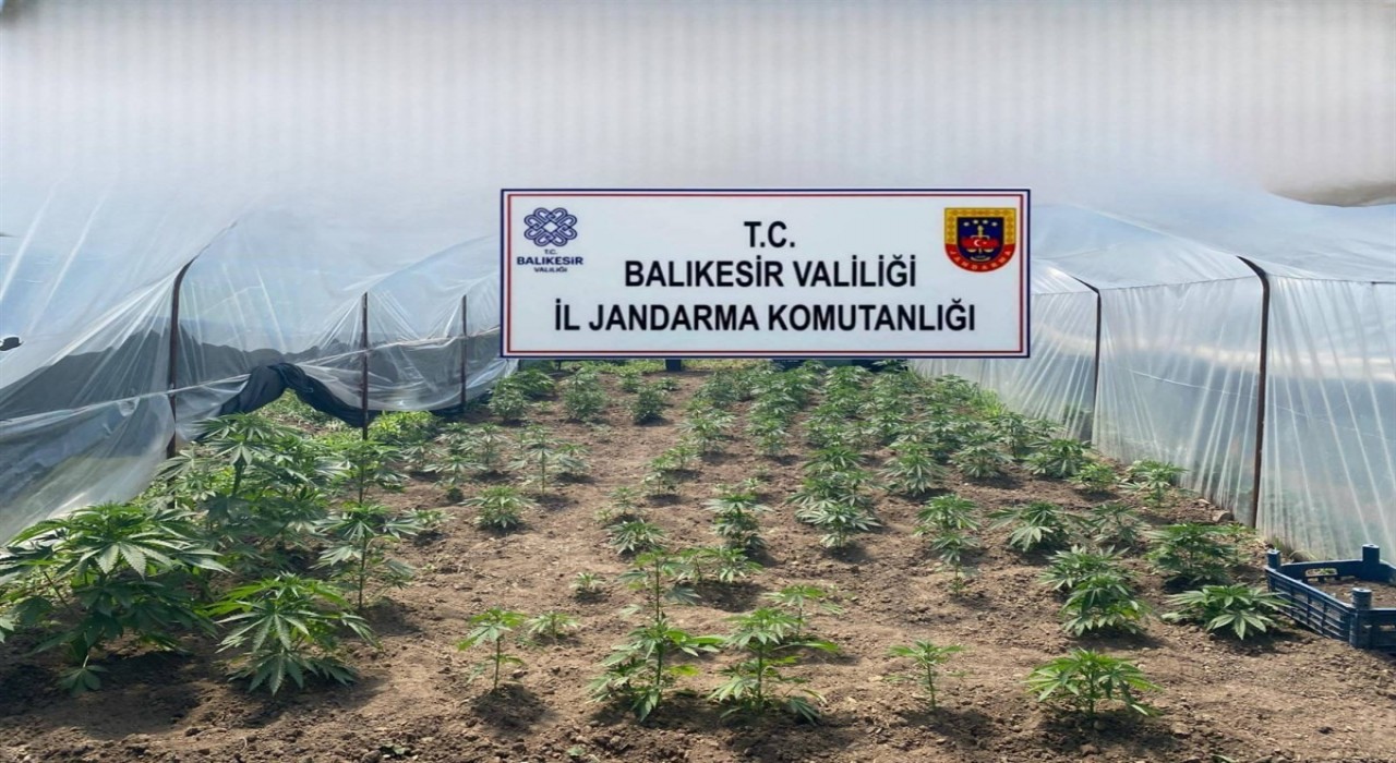 Balıkesirde jandarmadan organize suçlara karşı geniş çaplı operasyon