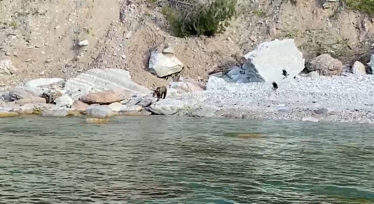 Bartında ilginç anlar