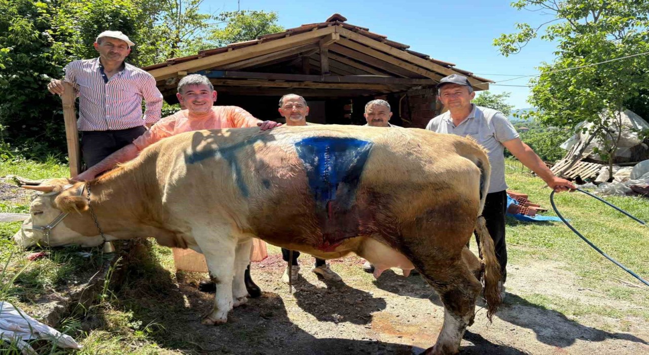 Bartında yüz binde bir görülen olay