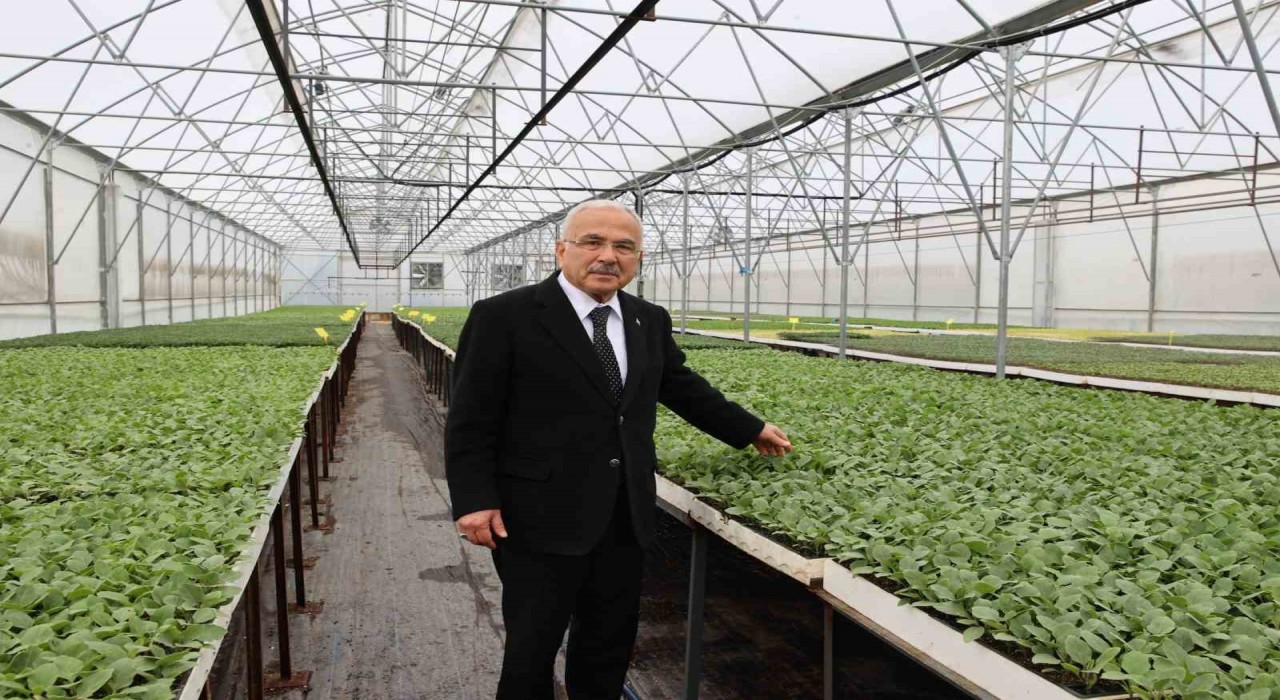 Başkan Güler: 5 yılda kendi ürettiğimiz 4 milyon adet fideyi üreticilerimize dağıttık