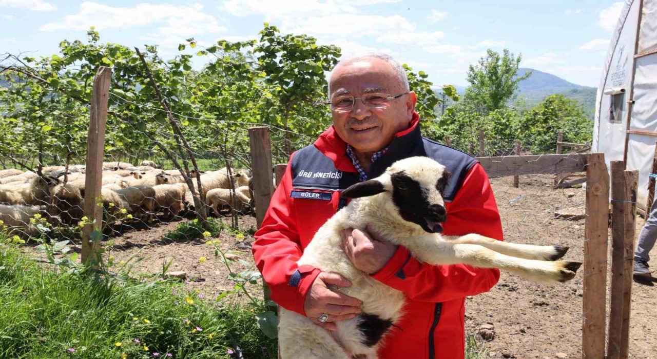 Başkan Güler: Dağıtımını yaptığımız hayvanları kendimiz yetiştiriyoruz