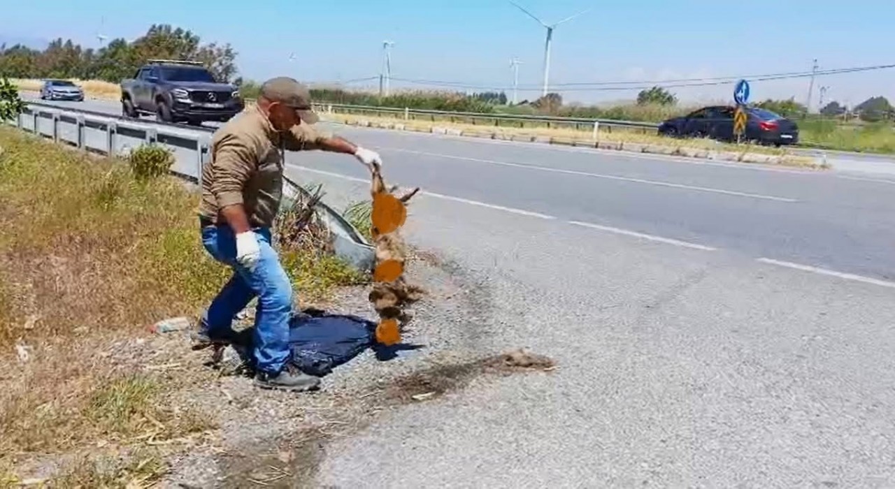 Başkan Sürücü: Çok nadir ve önemli bir türü daha kaybettik