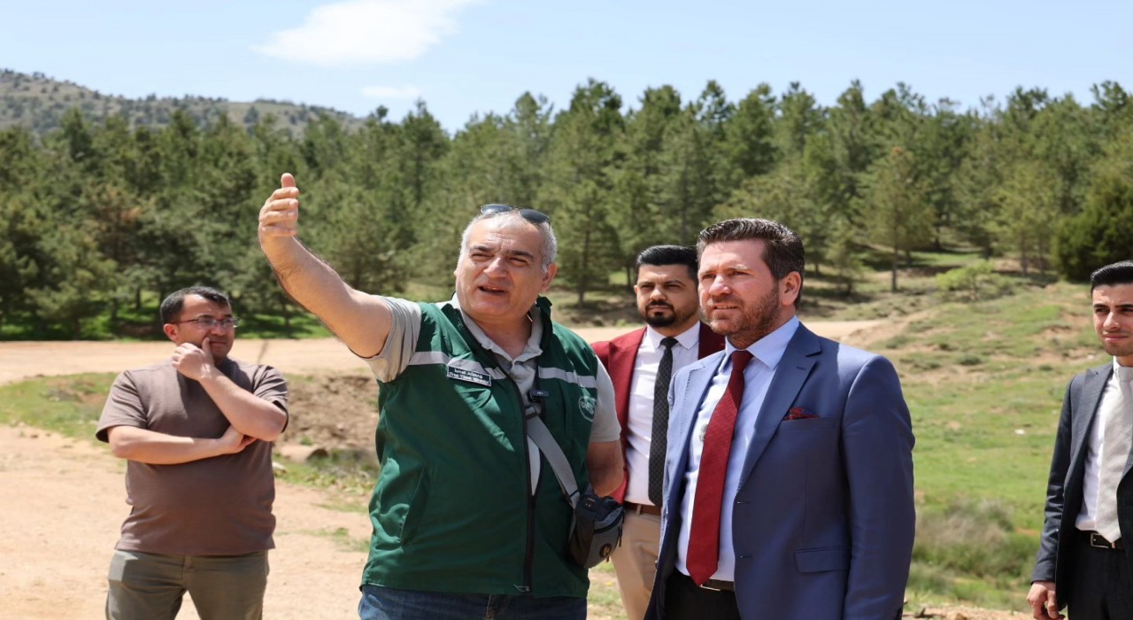 Başkan Tatık, Tavası yayla turizmiyle tanıştırmak için kolları sıvadı