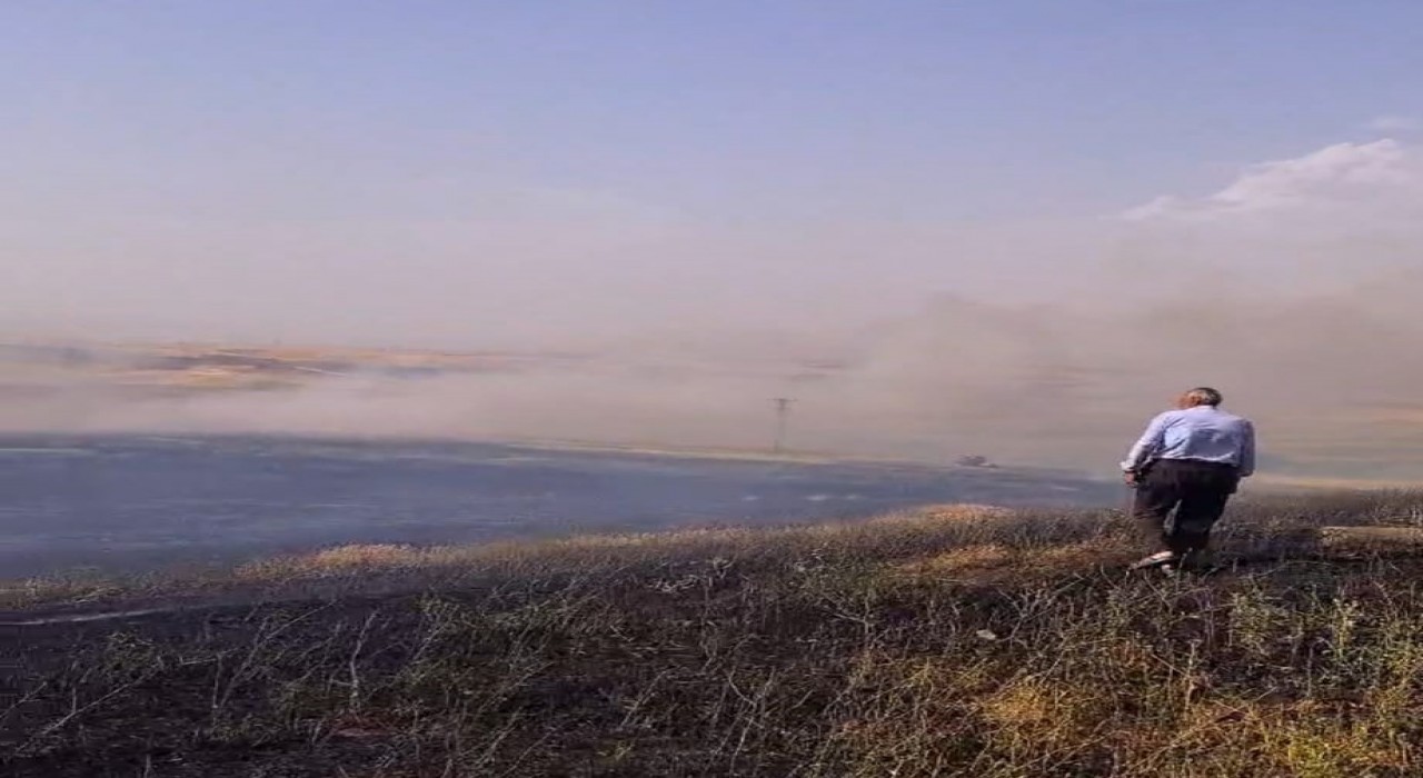 Batmanda 60 dönüm biçilmemiş buğday kül oldu
