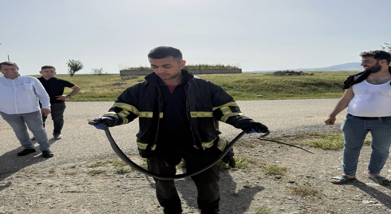 Batmanda tavan arasına giren yılan paniğe neden oldu