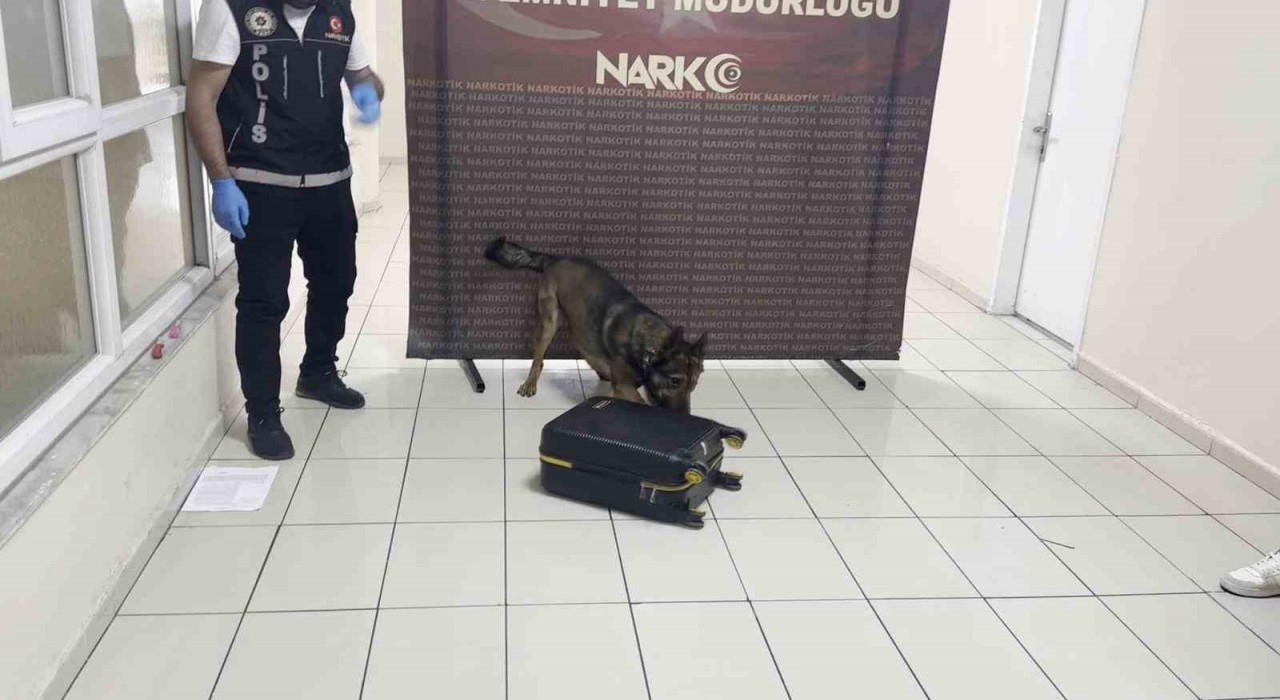 Batmanda uyuşturucu dolu valiz Hektora takıldı
