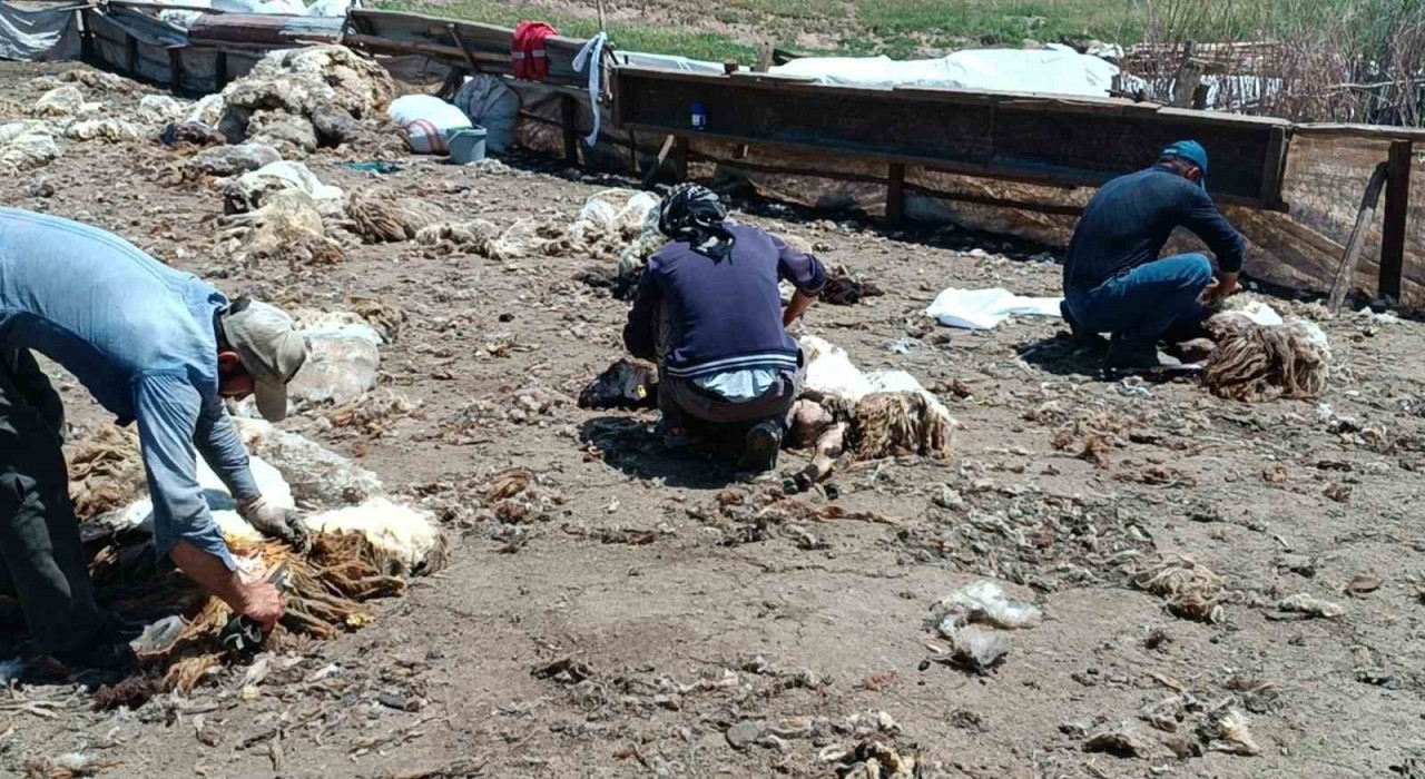 Batmanda yaylada kalan göçerler peynir üretiyor