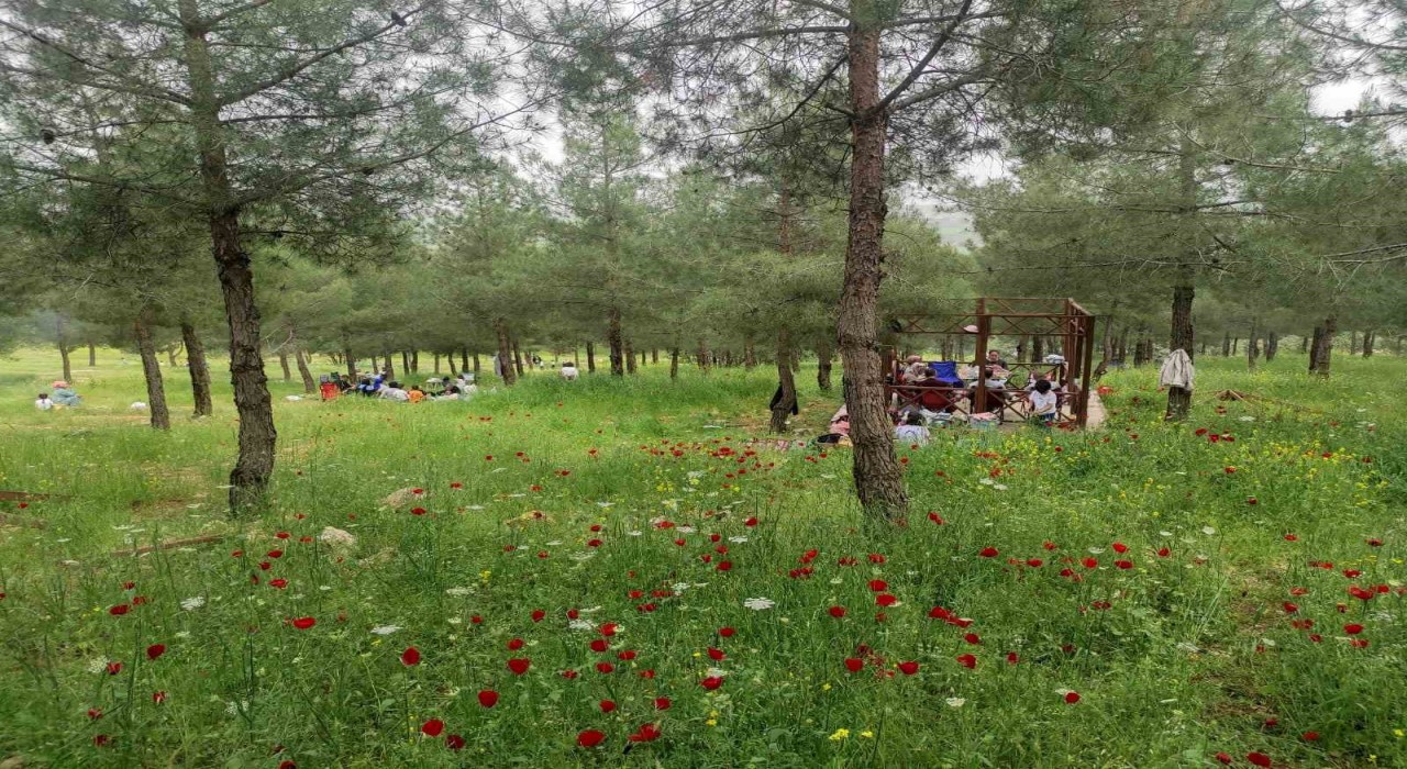 Batmandaki Malabadi Tabiat Parkına yoğun ilgi