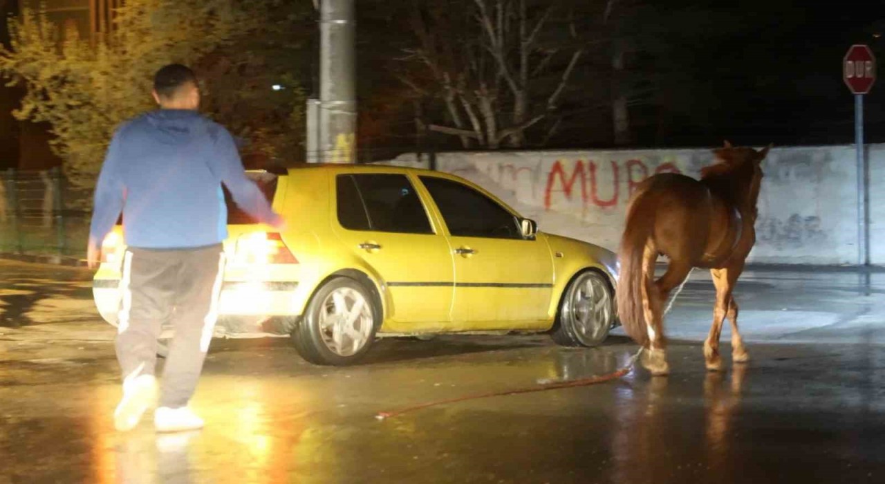 Belediyeden başıboş at ihbarı yapan vatandaşa Atı bağlayın, biz sabah ekip göndeririz cevabı