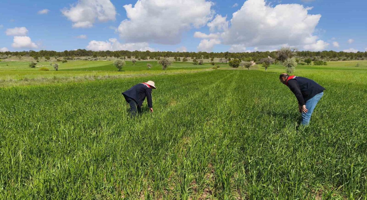Beyşehirin tarım alanları yakın takipte