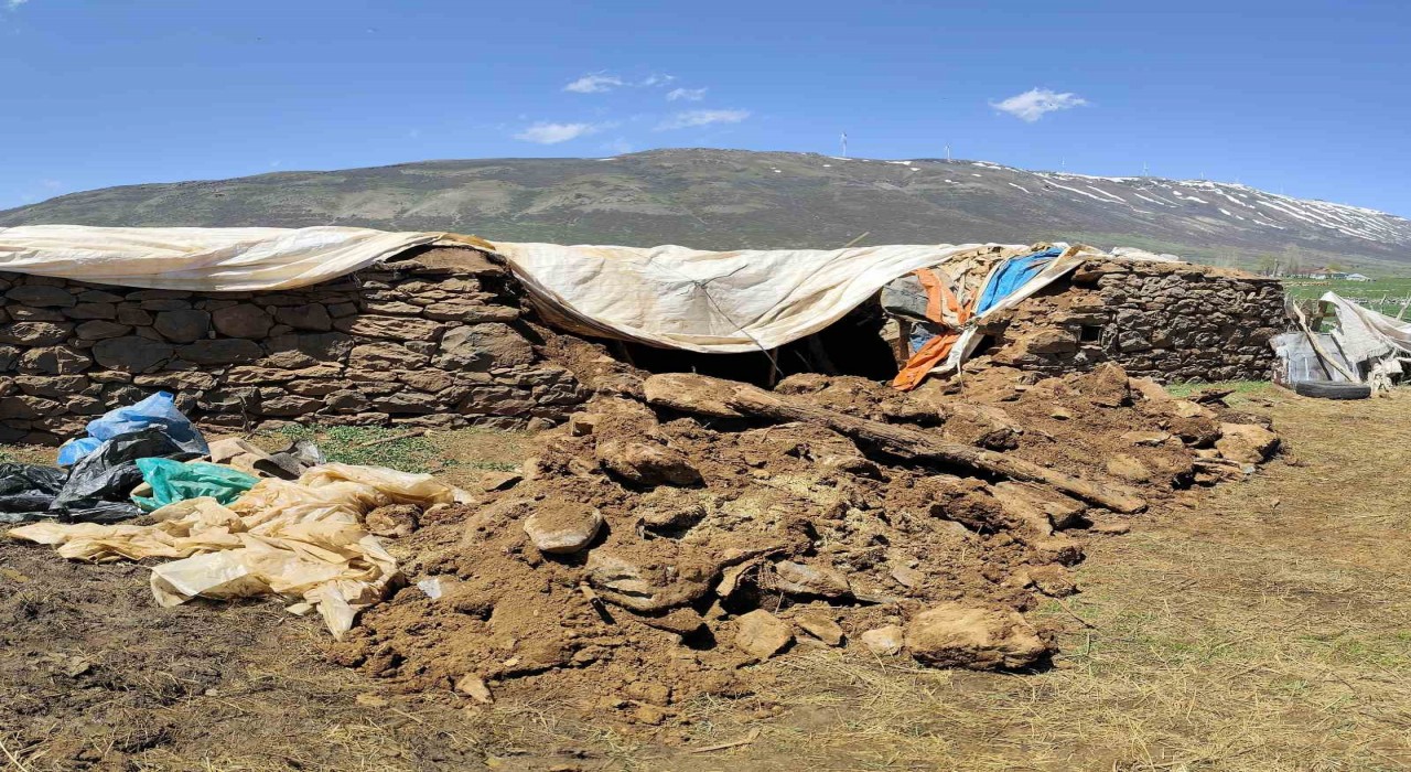 Bingölde fırtına ve sağanak nedeniyle ahır çöktü