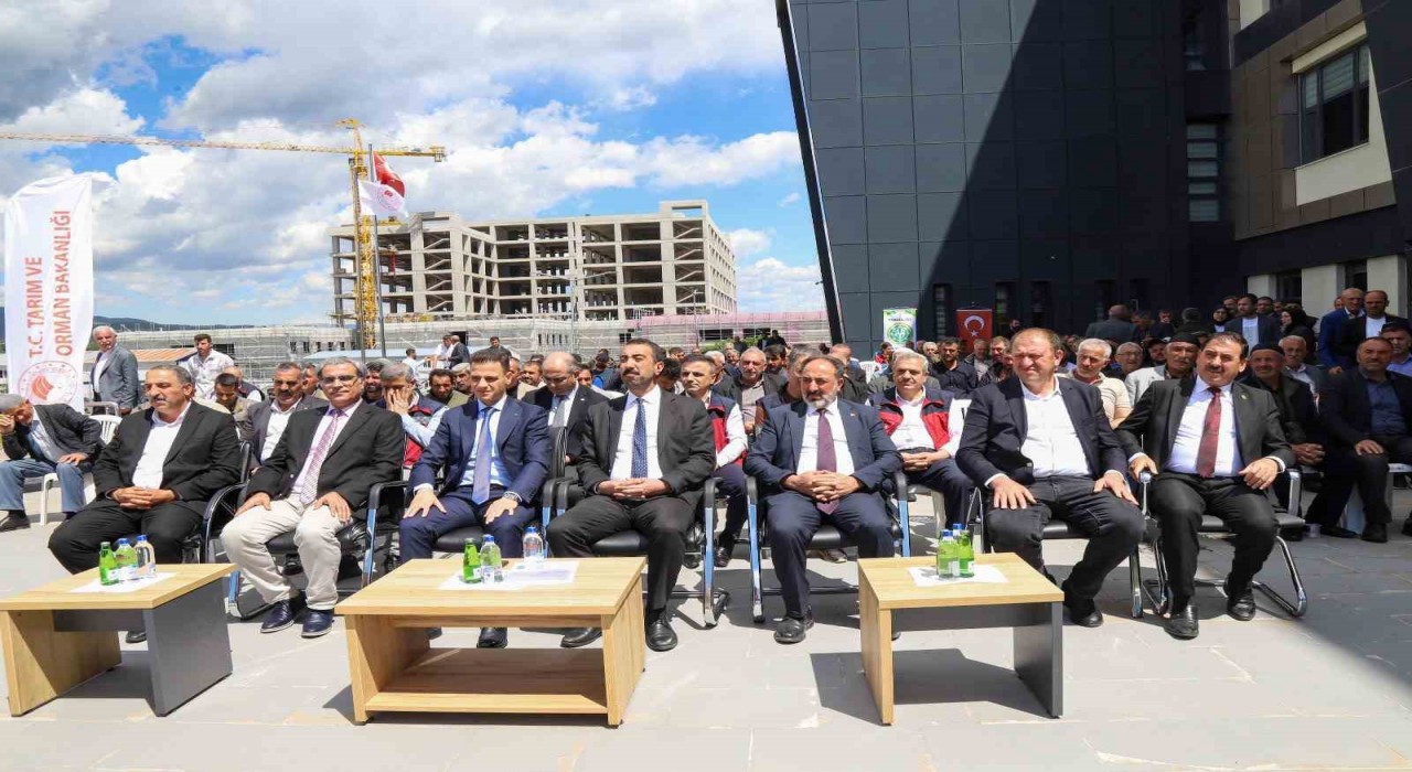 Bingölde küçükbaş yetiştiriciliğine büyük destek