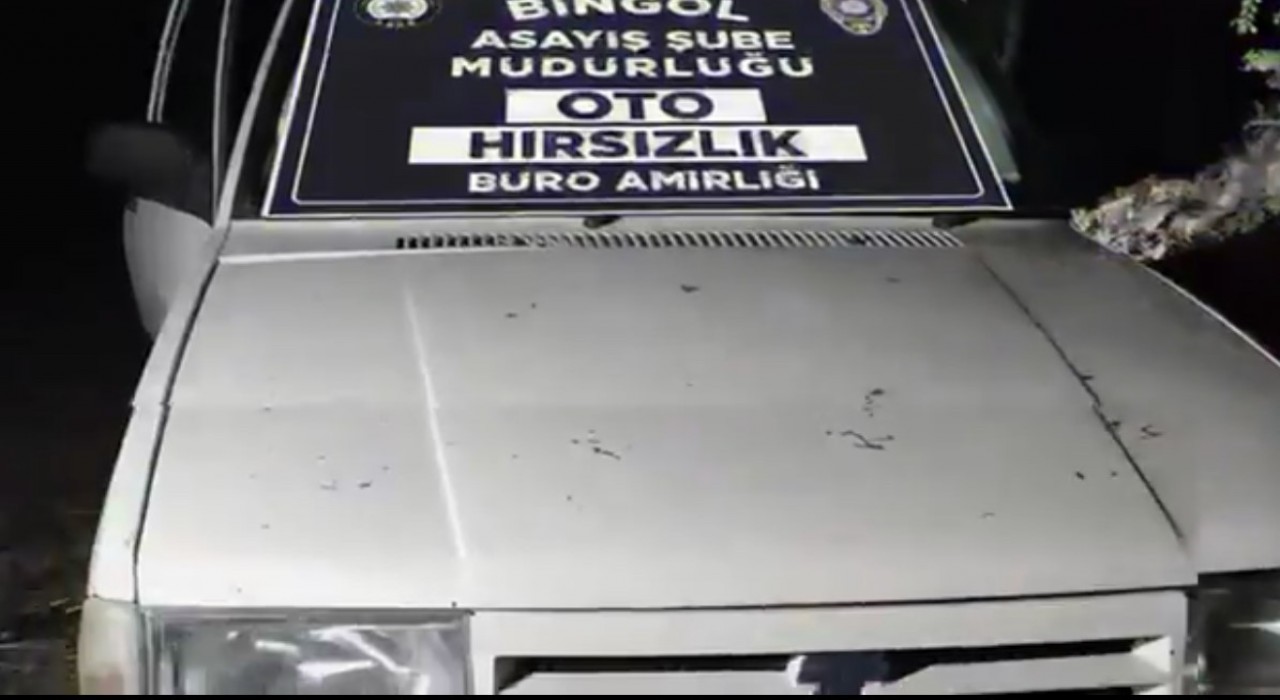 Bingölde oto hırsızları yakalandı