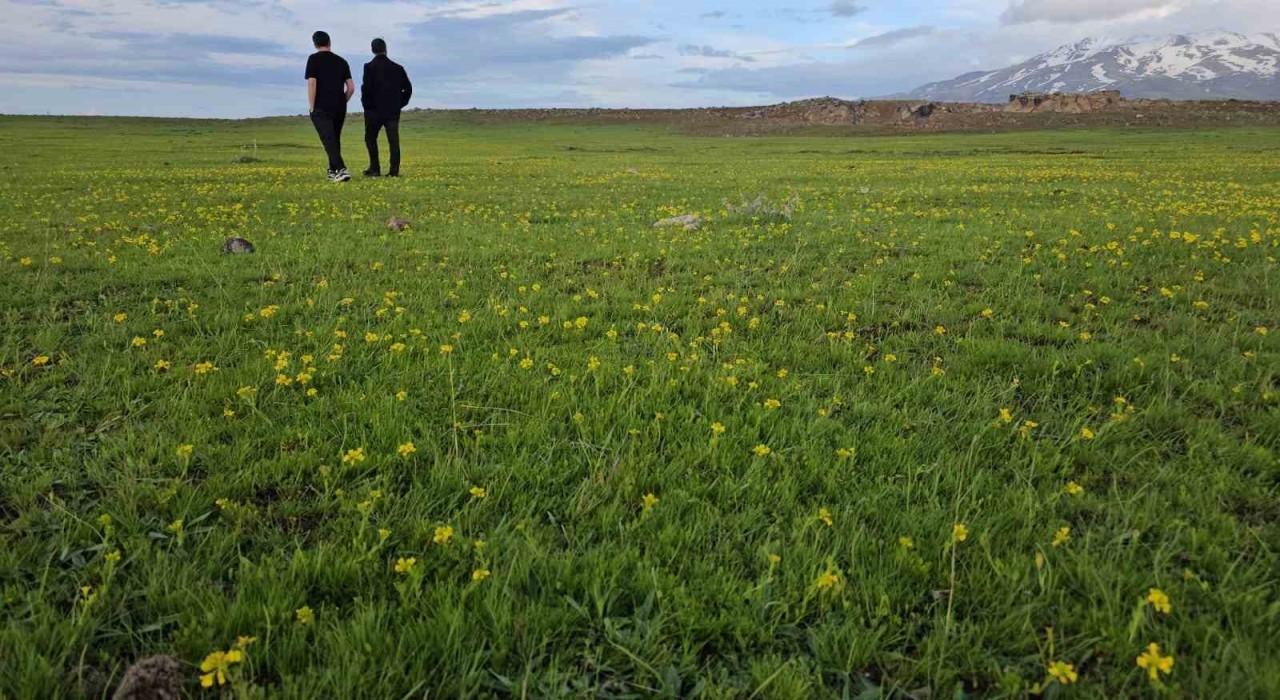 Bitlisin saklı güzellikleri: Cil Gölü ve Sütey Yaylası