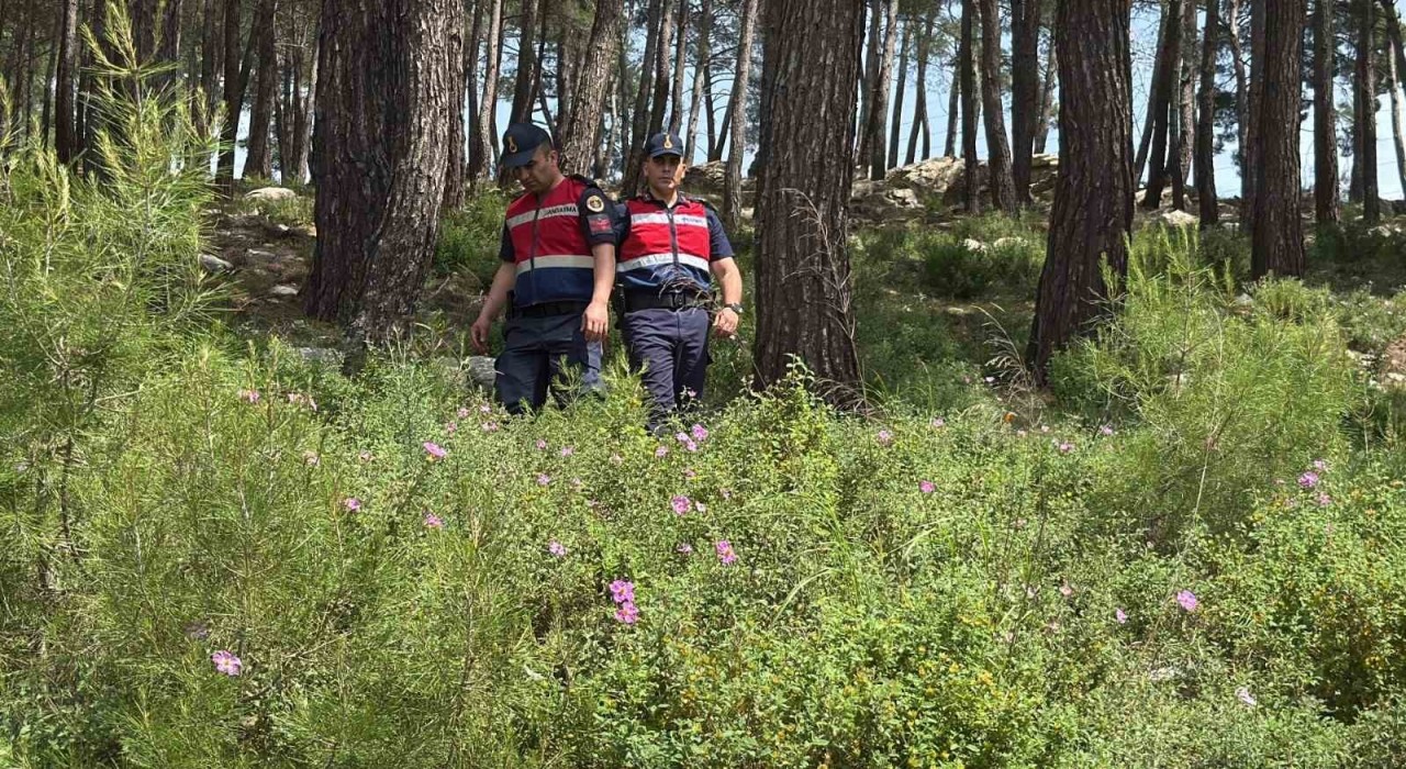 Bodrumda ormanlara giriş yasaklandı, jandarma termal dronla kuş uçurtmuyor