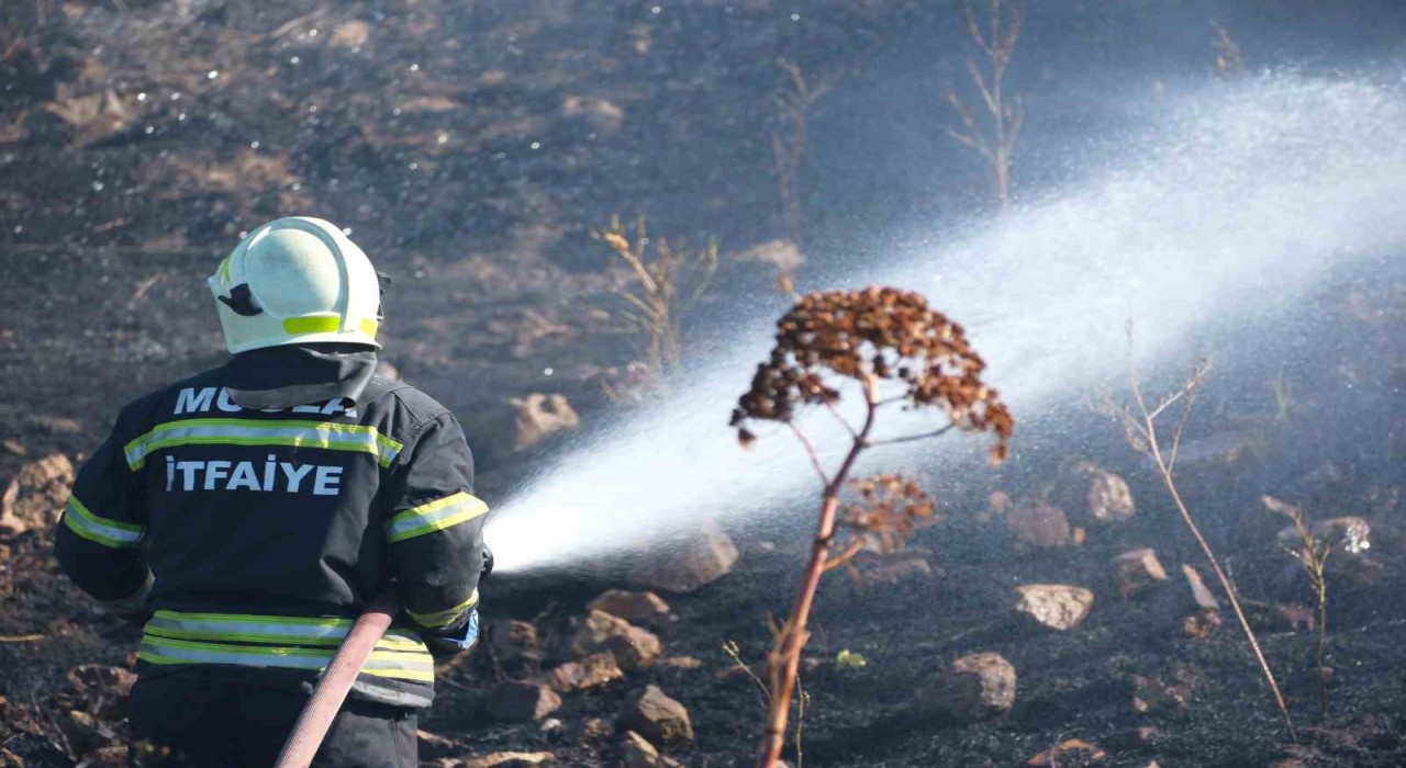 Bodrumda otluk alanda çıkan yangın 5 dekarlık alanı küle çevirdi
