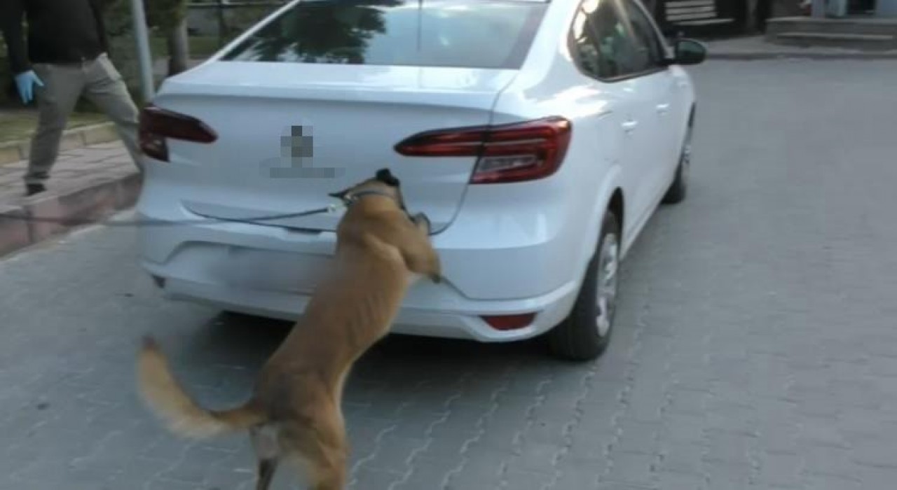 Boluda zehir tacirlerine geçit yok: 12 gözaltı