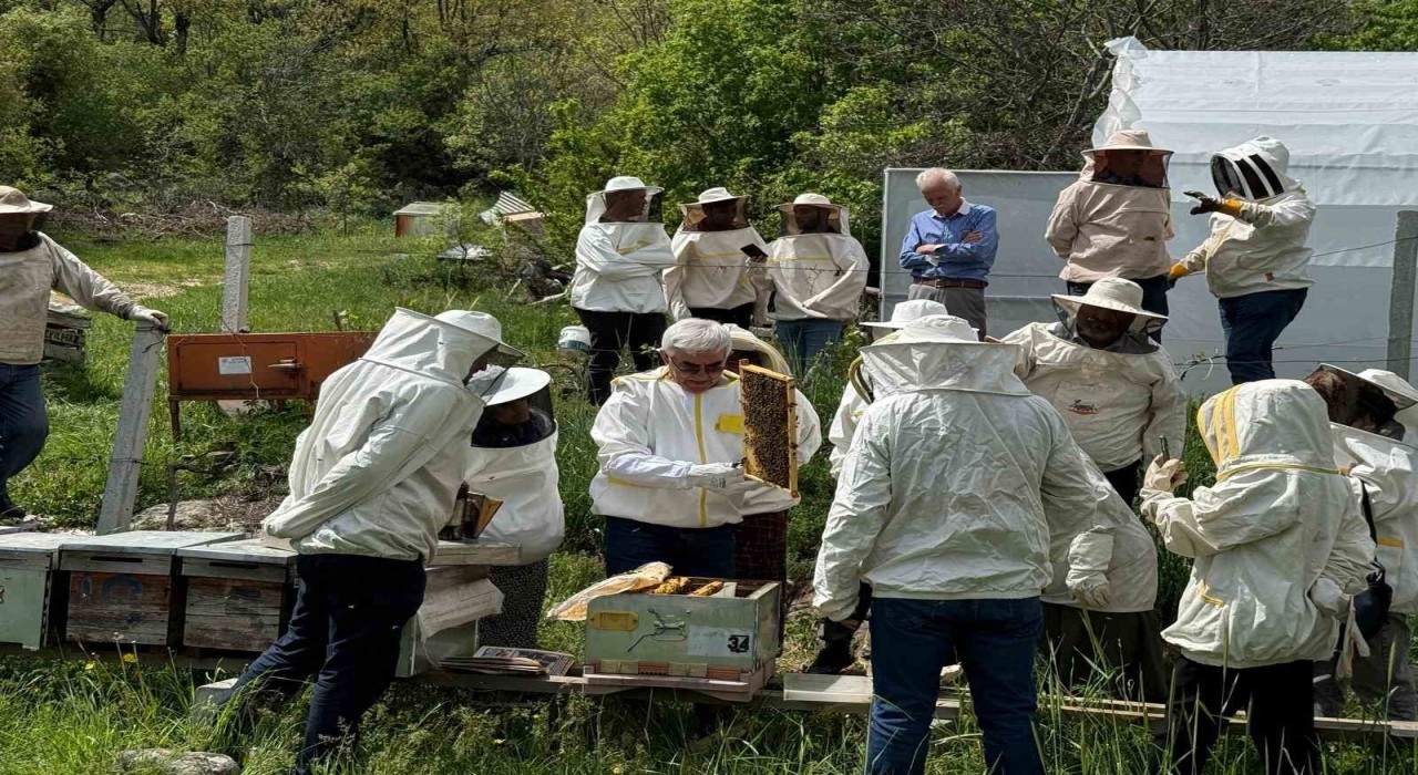 Bolunun dört bir yanından arı kursuna yoğun ilgi